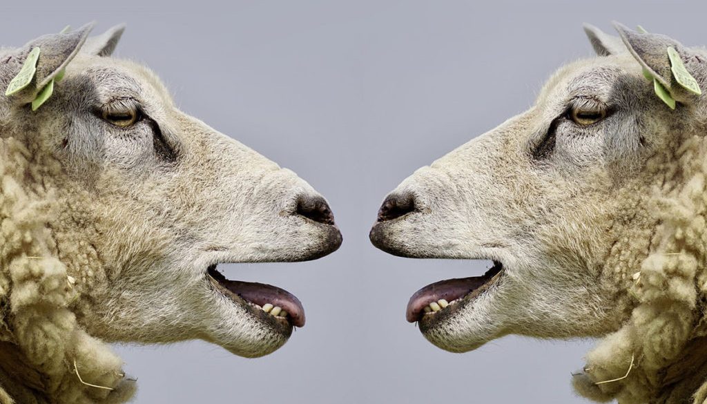 Customers are not sheep