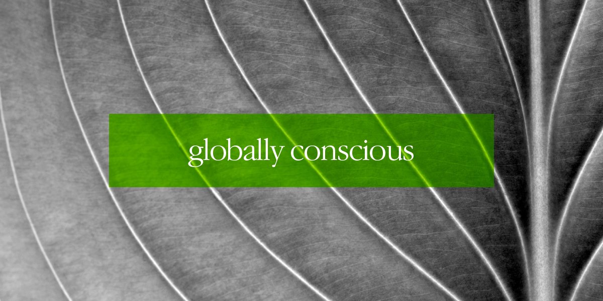 Regard globally conscious utilities